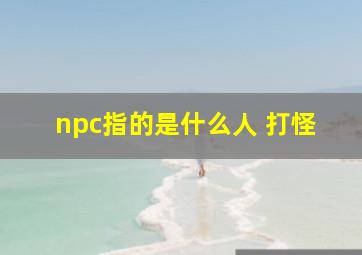 npc指的是什么人 打怪